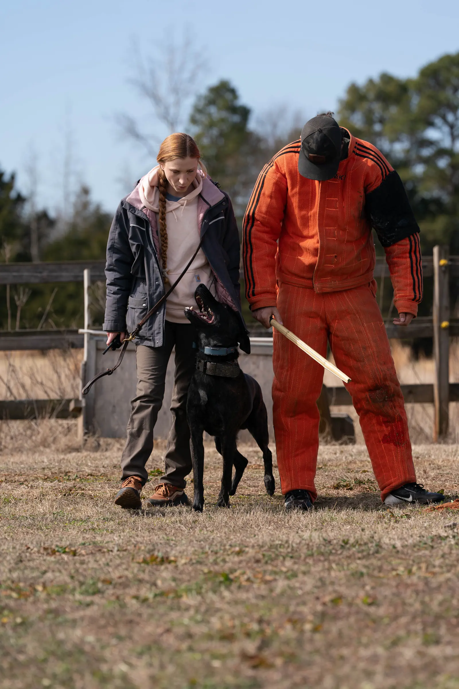 Pet sitting and in-home animal care 3